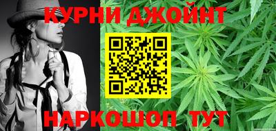Альфа ПВП Бийск